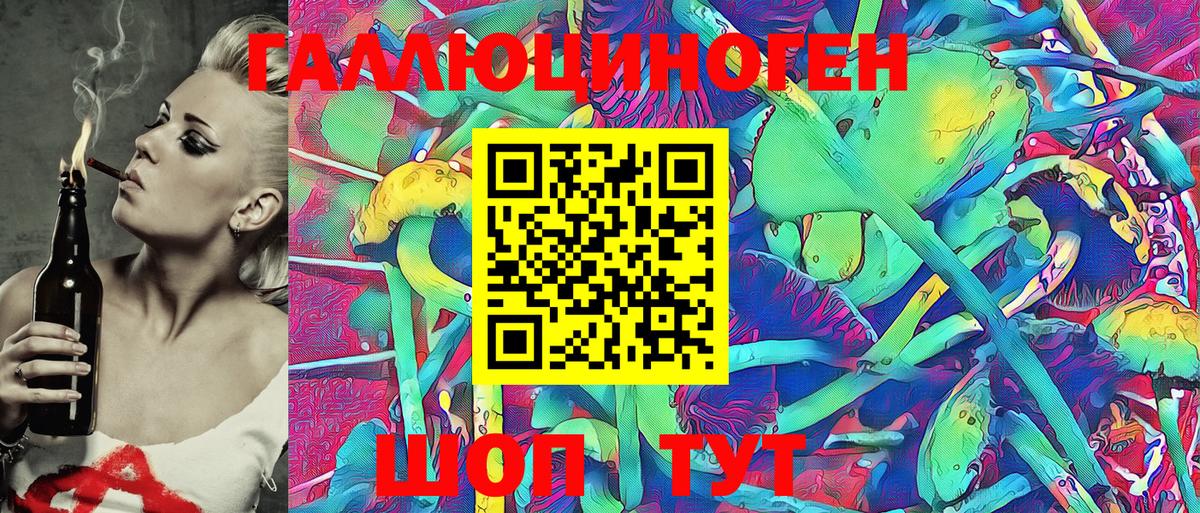 Псилоцибиновые грибы Psilocybe Воронеж