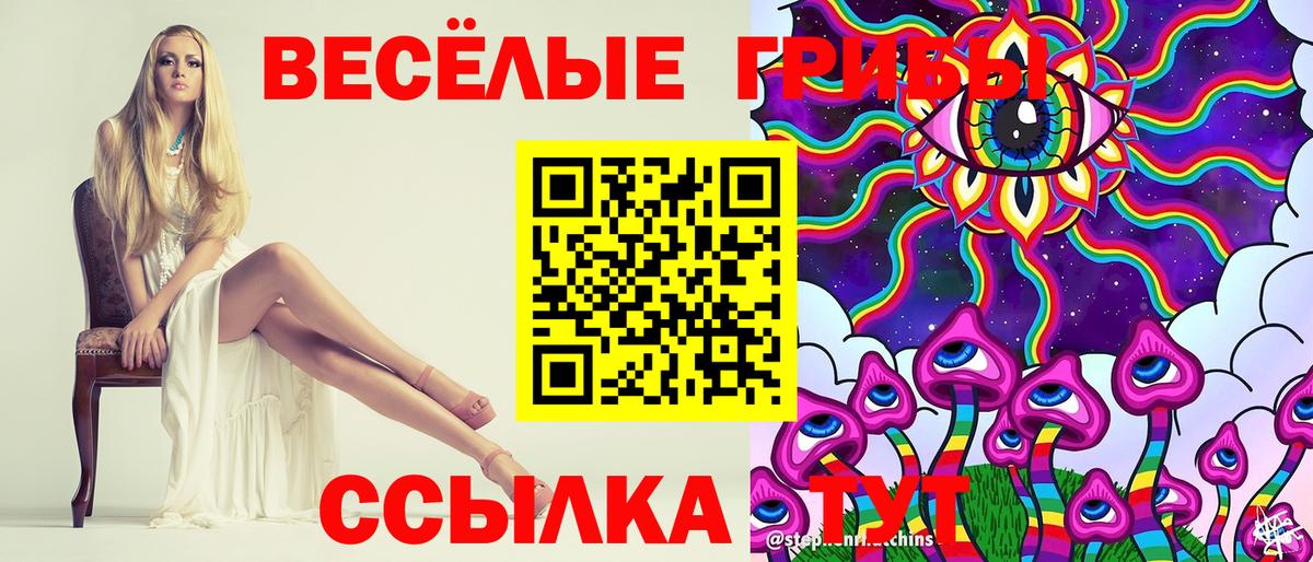 Воронеж  Галлюциногенные грибы Psilocybine cubensis  Вход с VPN 